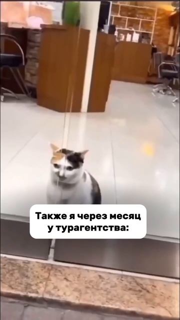 Ничего нового, все стабильно