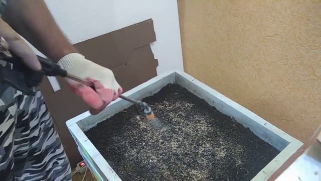 Основные причины гибели Дендры.