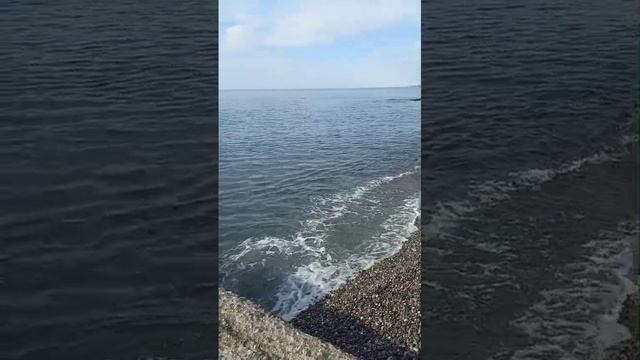 Сочи море 22.01.2025