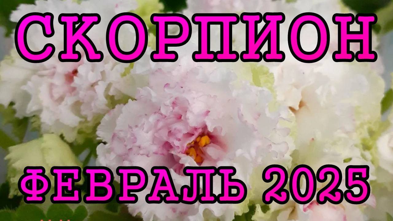 СКОРПИОН таро прогноз на ФЕВРАЛЬ 2025 года.