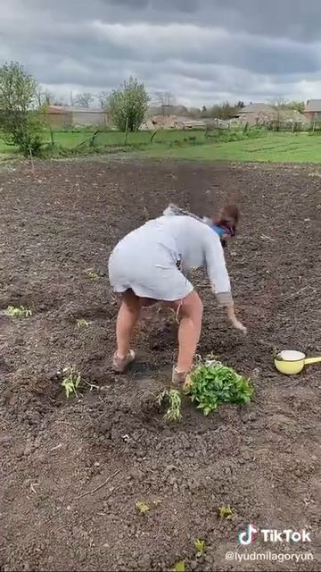 Знакомый ракурс