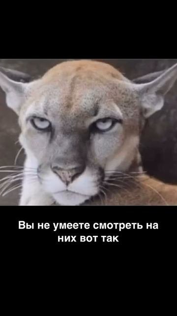 Про материнство