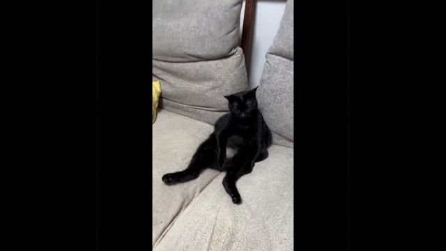 Диванчик