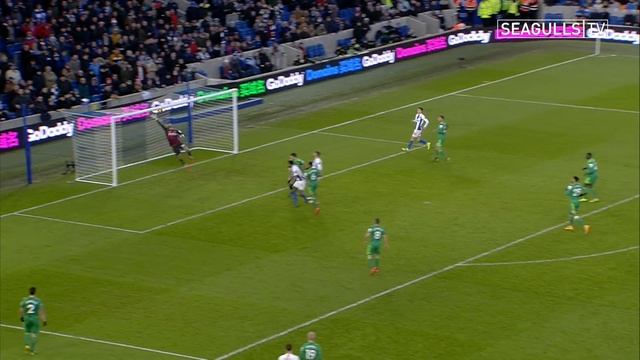 BRIGHTON & HOVE ALBION 0 WATFORD 0
