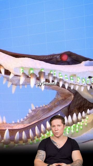 За время своей жизни аллигатор меняет каждый зуб, в среднем, по 50 раз