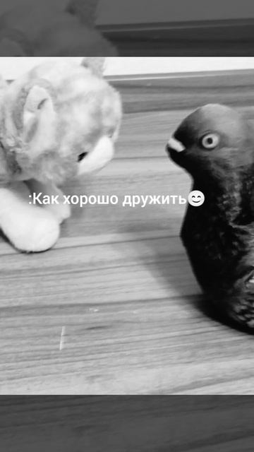 Гуля и котик (1 часть)