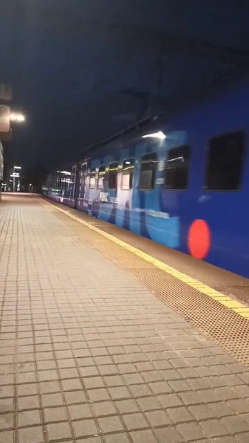 Экспресс РЭКС D1