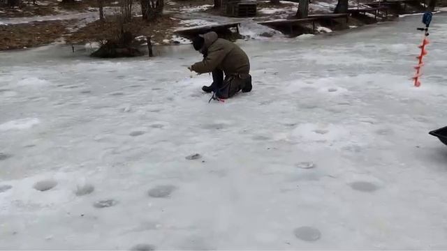 22.01.25 г. Парк отдыха водопад