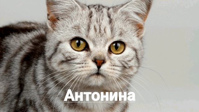 Именины 22 января