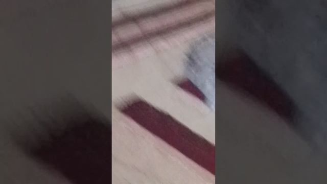1000001400.mp4