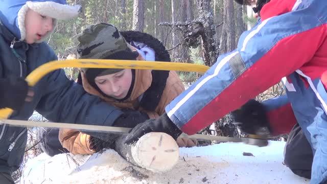 Нам это надо!
