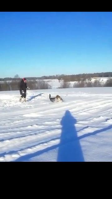 Зима