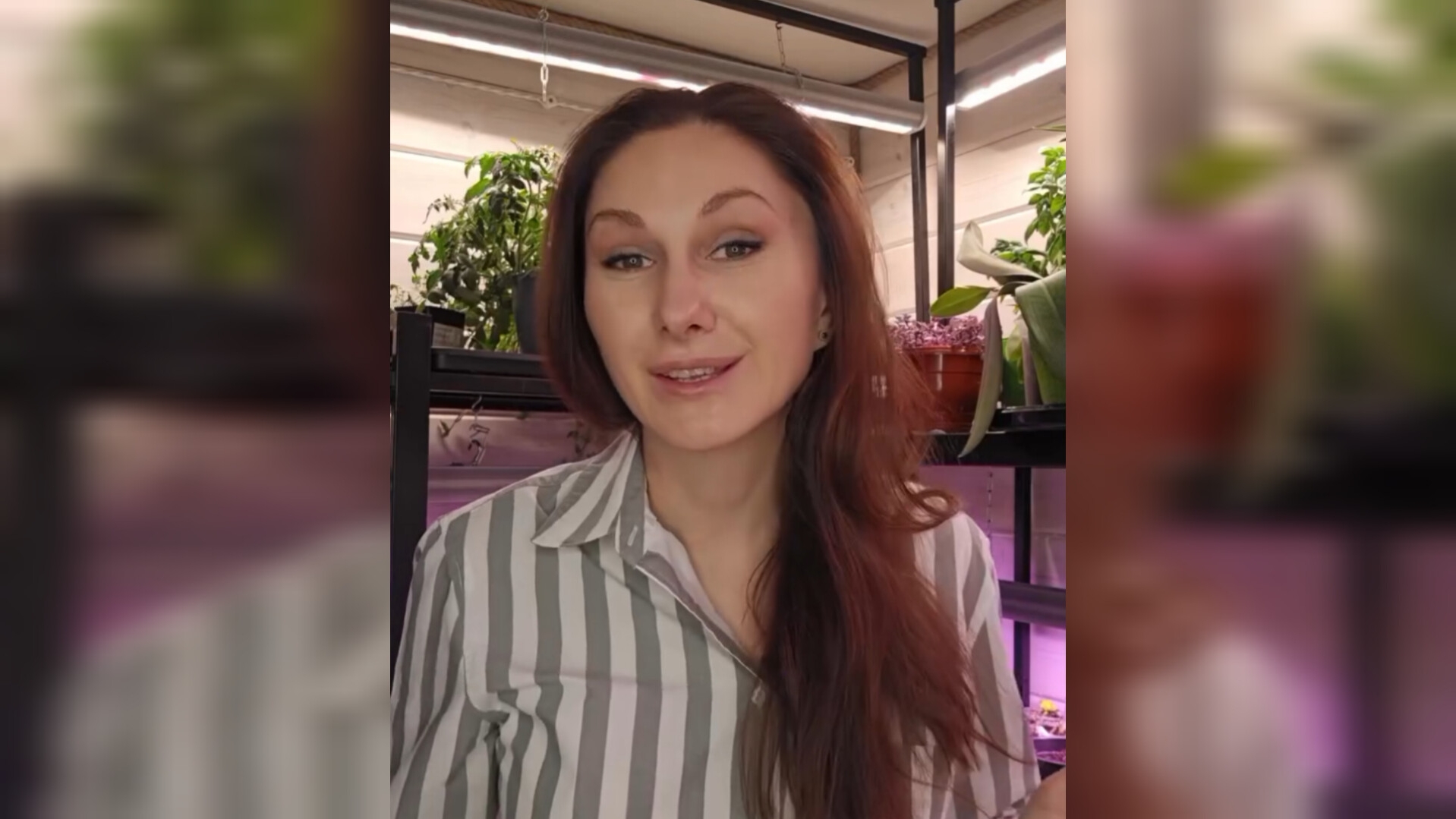 Фитолампы от Красивой грядки 💡