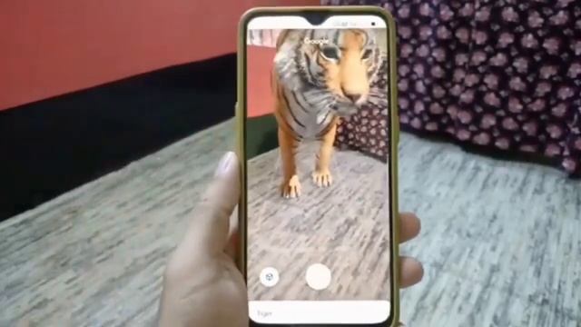 tiger 3d tutorial, Live animals in your home space,tigar 3d settings kaise kare, tigar Google me