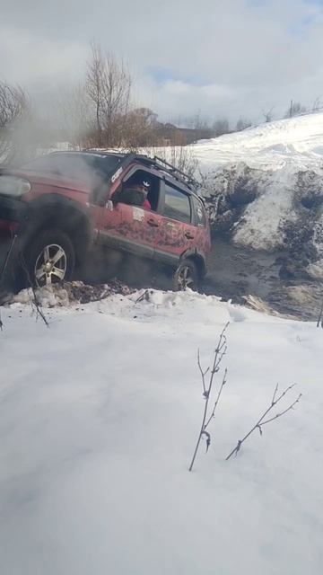 Саловка 18.01.25