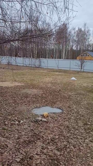 Зима аномальная в январе
