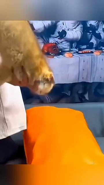 Спорт и не только