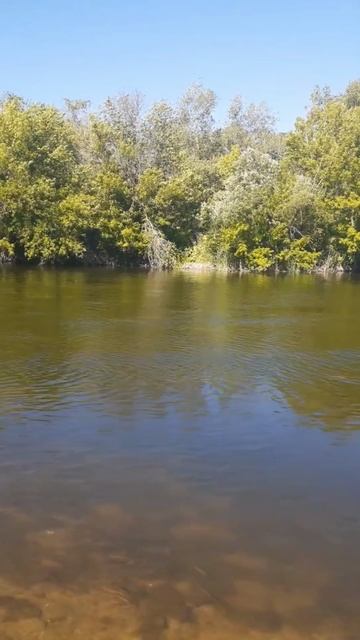 Video.Guru_20250122_205241233