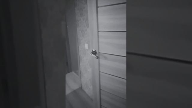 не бьяснимое