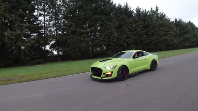 Shelby GT 500 El hermano mayor