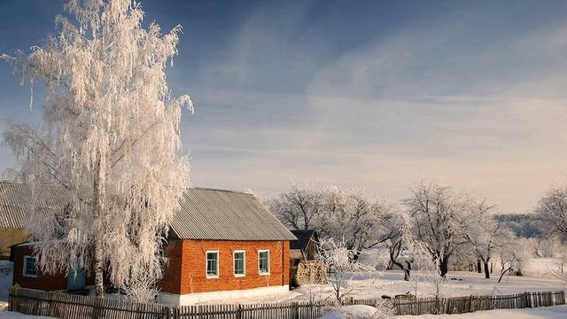 Берёзовый сон (Стихи А.Иванихин)