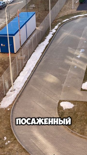 Бюджетные деньги завяли #халатность #бюджет #стройка