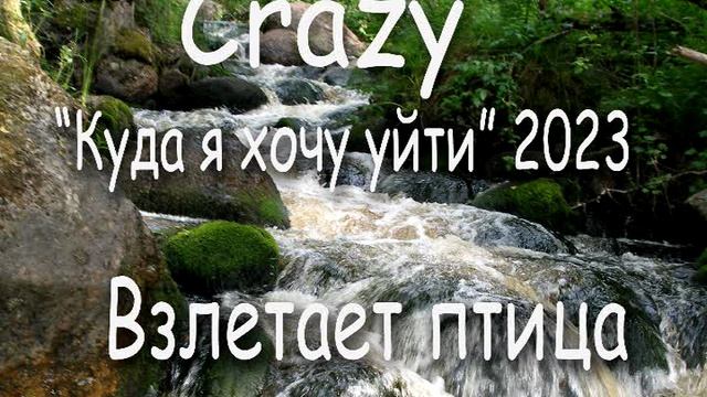 04 Взлетает птица (группа Crazy, 2023)