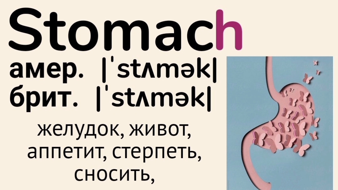 Слова с непроизносимыми буквами/тренажер👉stomach