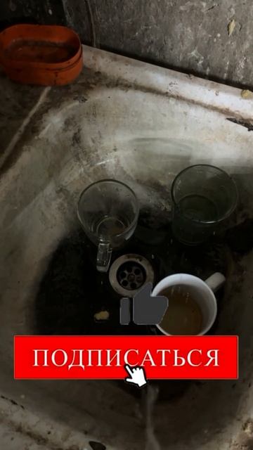 Подписывайтесь🙌Помощь каналу:+➐➐➐➎➎➌➍➊➍➐➑ 🅷🅰🅻🆈🅺 🅱🅰🅽🅺 #юмор #прикол #смех.mp4