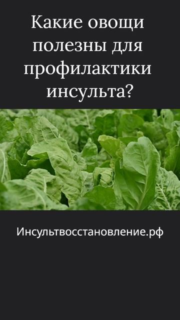 Питание для профилактики инсульта.Какие овощи полезны для профилактики возникновения инсульта?