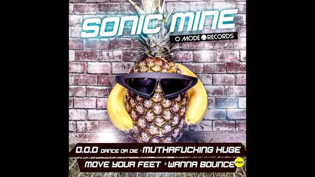 Sonic Mine - Move Your Feet