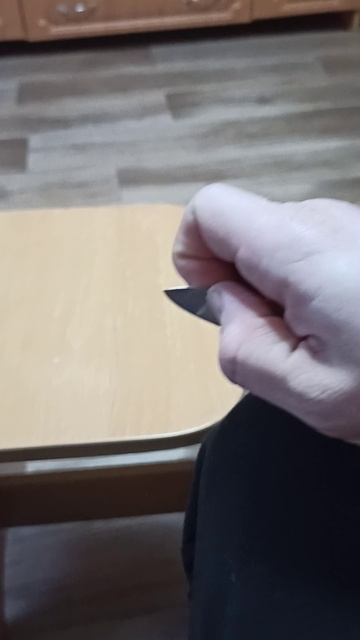 рыжий пёс. нож Victorinox Fieldmaster. швейцарский нож. нож ключник.