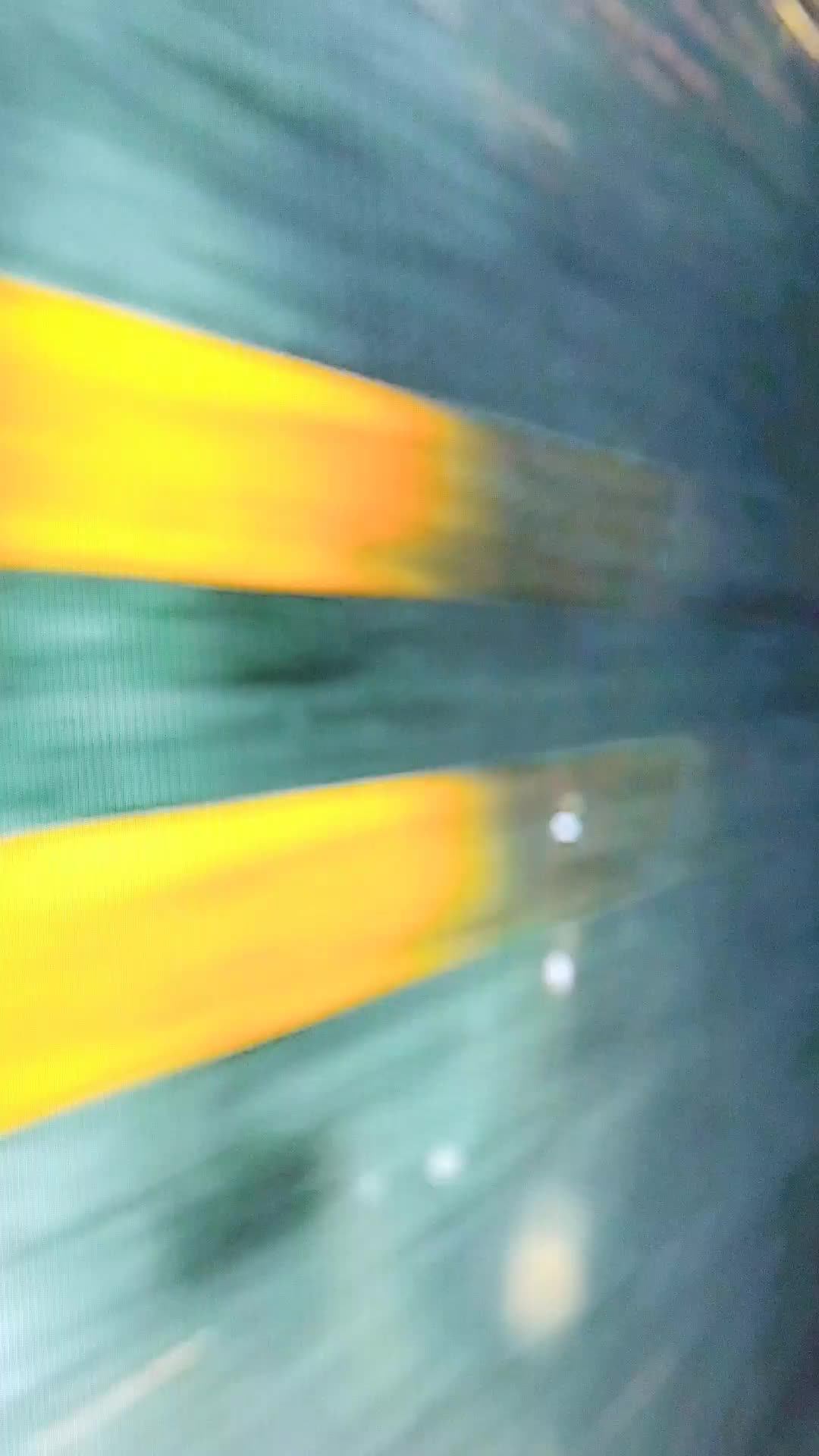 2433