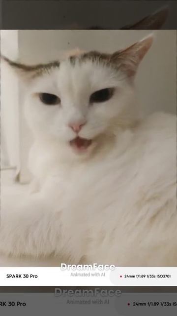 сигма