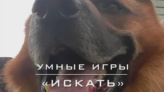 Команда «Искать».