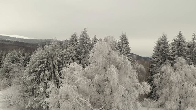 6719350-uhd_3840_2160_25fps