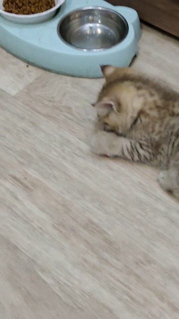 1000120368.mp4