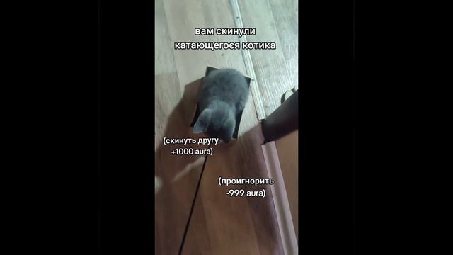 В коробочке