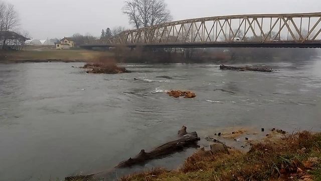 Река Велика Морава - Ћуприја 22.01.2025