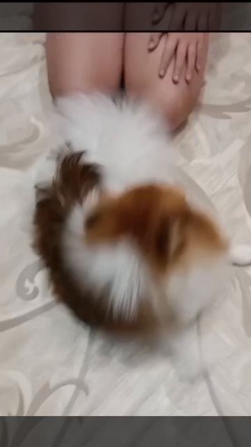 1000212915.mp4
