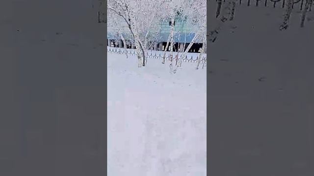 Елена Петровна 👑