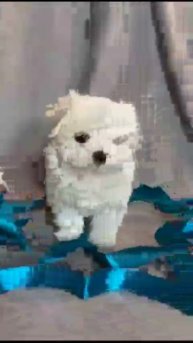 21 ноября 2024 г.