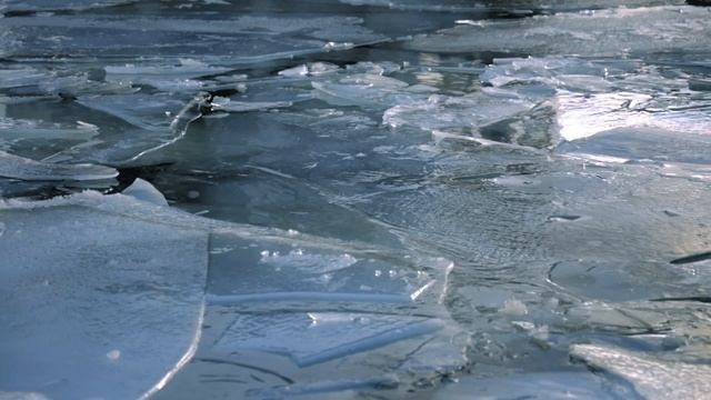 6825044-hd_1920_1080_24fps