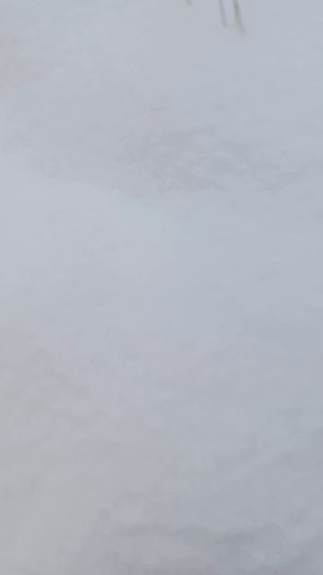 домой