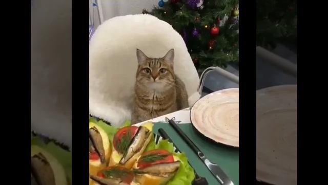 За столом