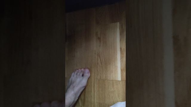 Котёнок ХРЮ менйн-кун , 2 месяца