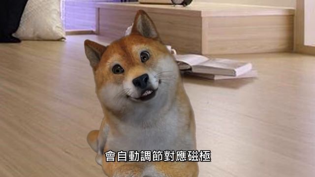 【答案借你抄系列05】埋料犬犬不害羞大談「黑洞」帶領霍金獲得諾貝爾獎與找到白洞的旅程