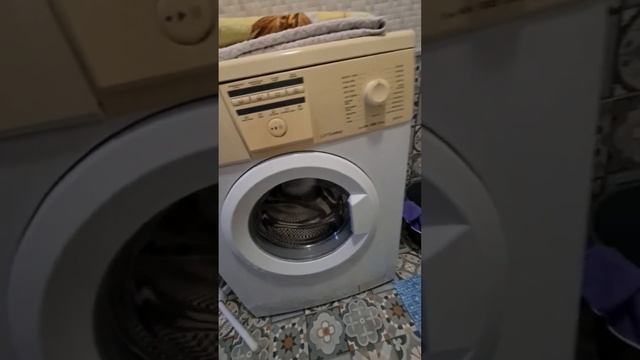 студия жк Спутник Строгино
