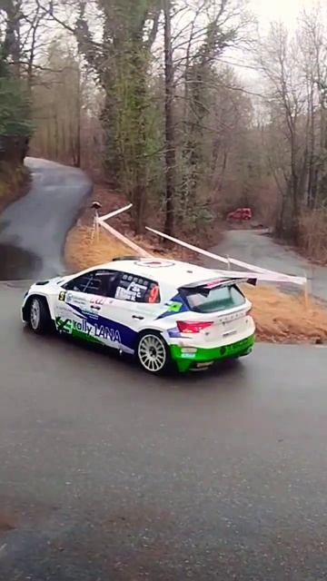 Rally dei Laghi, Varese Coppa Italia TRZ 2024 Skoda Fabia RS