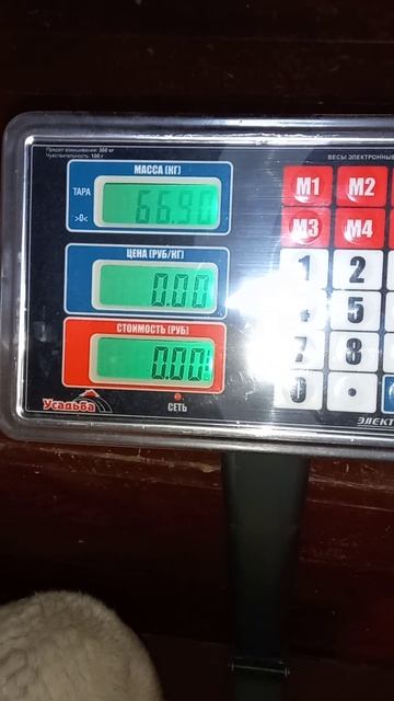 гороч взвешивания 22.01.2025